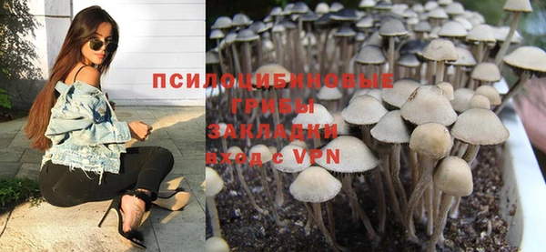 дживик Богданович