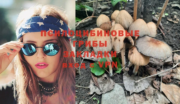 дживик Богданович