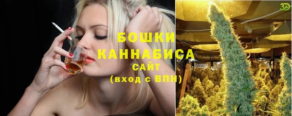 стафф Богородск