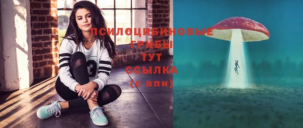 дживик Богданович