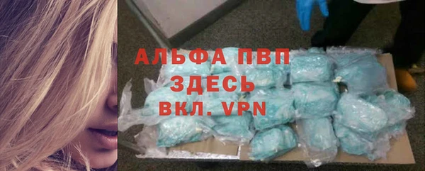PSILOCYBIN Беломорск
