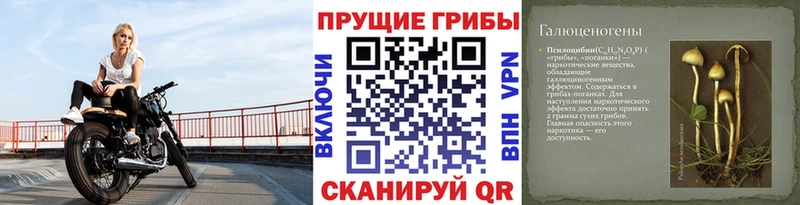 Псилоцибиновые грибы прущие грибы  Бородино 