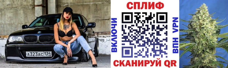 Бошки марихуана конопля цены Бородино